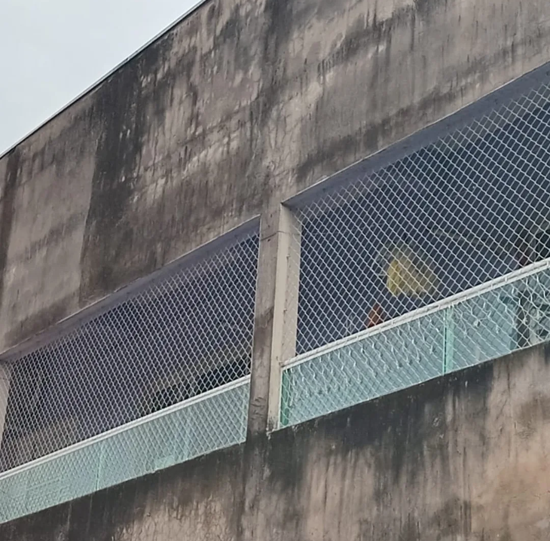 Proteção Externa