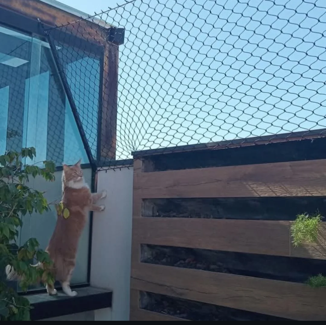 Proteção para Pets